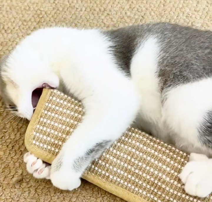 Krallex® — Unleash your cat's wild hunting frenzy for hours of play fun and healthy teeth | Stornfield