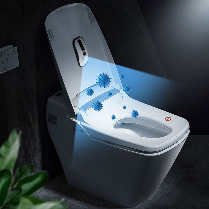 Stornfield | Portable Toilet UV Sterilizer, Powered