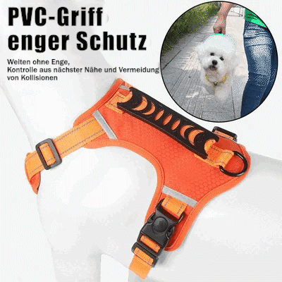 Stornfield | No-pull Dog Harness for Pets