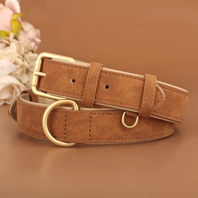 Stornfield Pup Collar