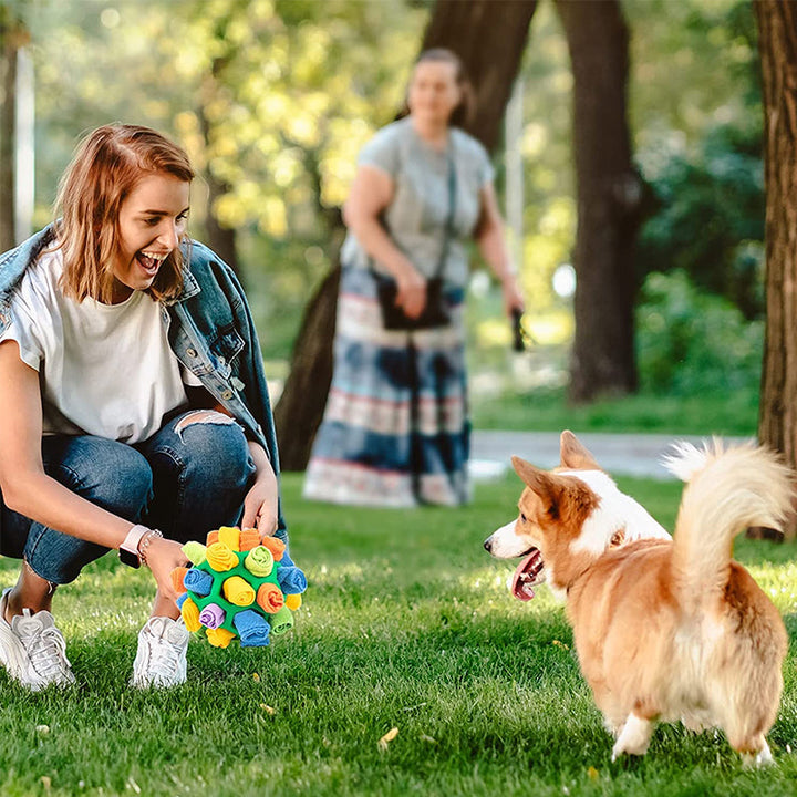 Sniffle ball for pets | Stornfield