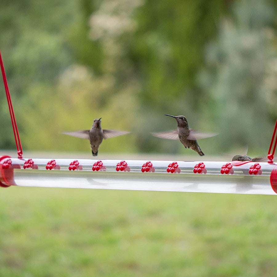 Bob's Best Hummingbird Feeder | Stornfield