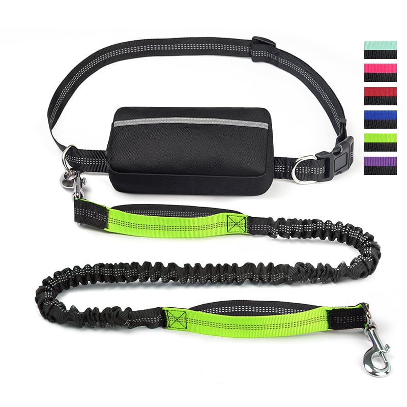 FlowLeash — Experience gentle control and relaxed walks without jerks! | Stornfield