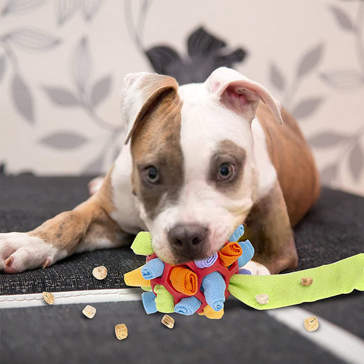 Sniffle ball for pets | Stornfield