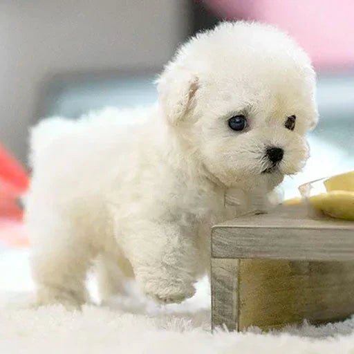 Stornfield | SnugglePup – Realistic Plush Puppy with Lifelike Details