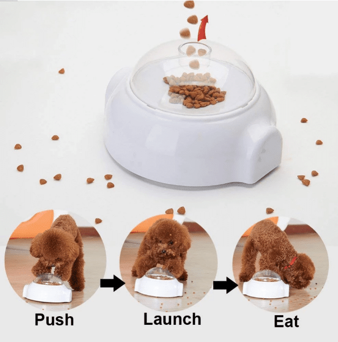 Creative Goodies Activity Toy for Dogs and Cats | Stornfield
