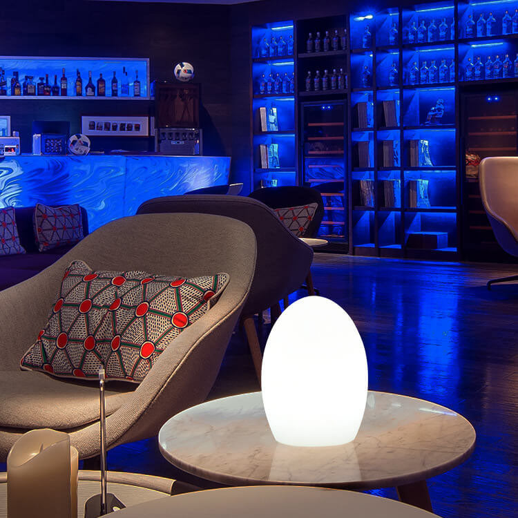 Stornfield | Lampe de table décorative LED en forme d'œuf RGB en ABS