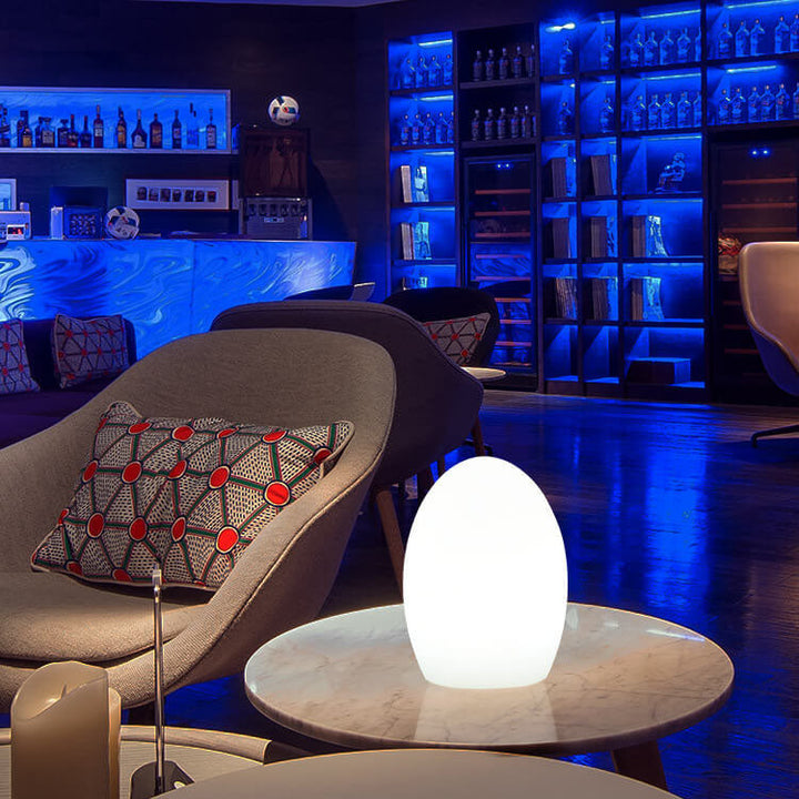 Stornfield | Lampe de table décorative LED en forme d'œuf RGB en ABS