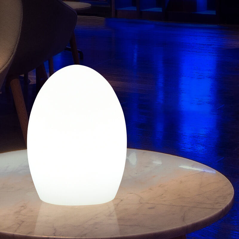 Stornfield | Lampe de table décorative LED en forme d'œuf RGB en ABS