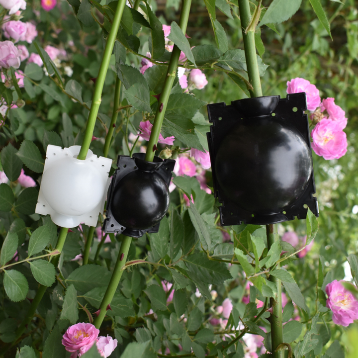 Air Layer Plant Propagation Capsule | Stornfield