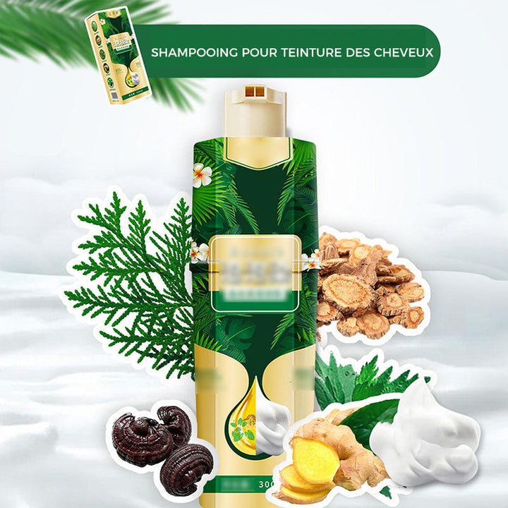 Foaming Shampoo for Hair Dye | Stornfield