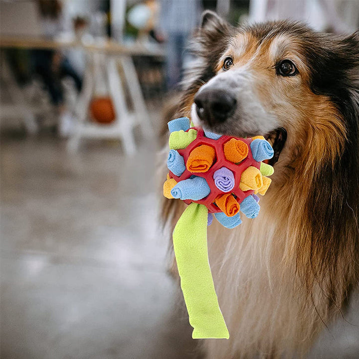 Sniffle ball for pets | Stornfield