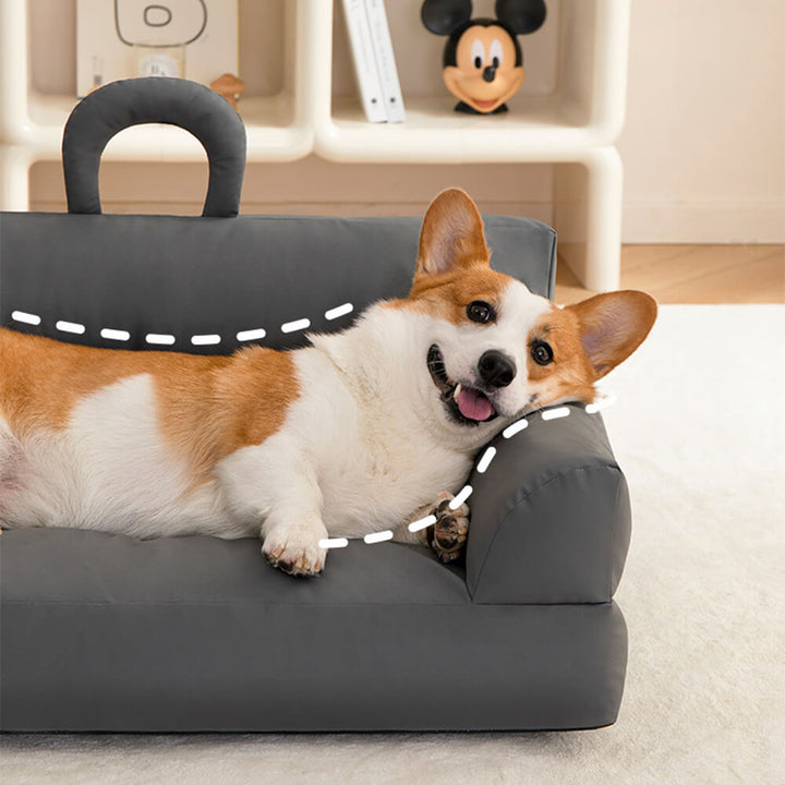 Elevated Pet Sofa Bed Stylish Waterproof Ergonomic Comfort | Stornfield