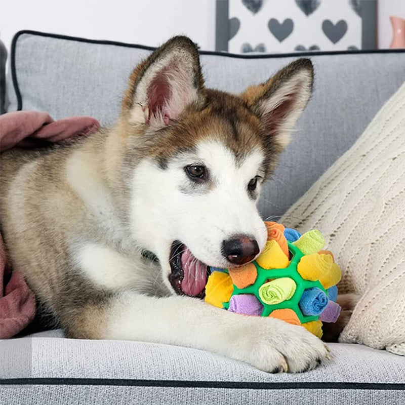 Sniffle ball for pets | Stornfield