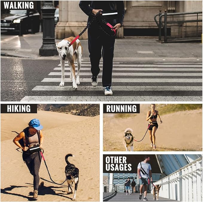 FlowLeash — Experience gentle control and relaxed walks without jerks! | Stornfield