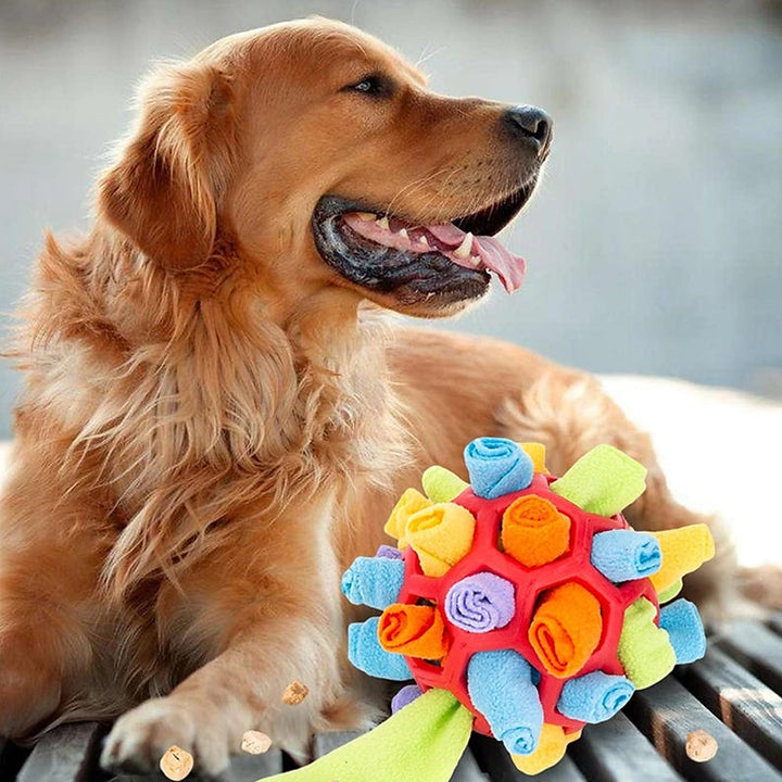 Sniffle ball for pets | Stornfield