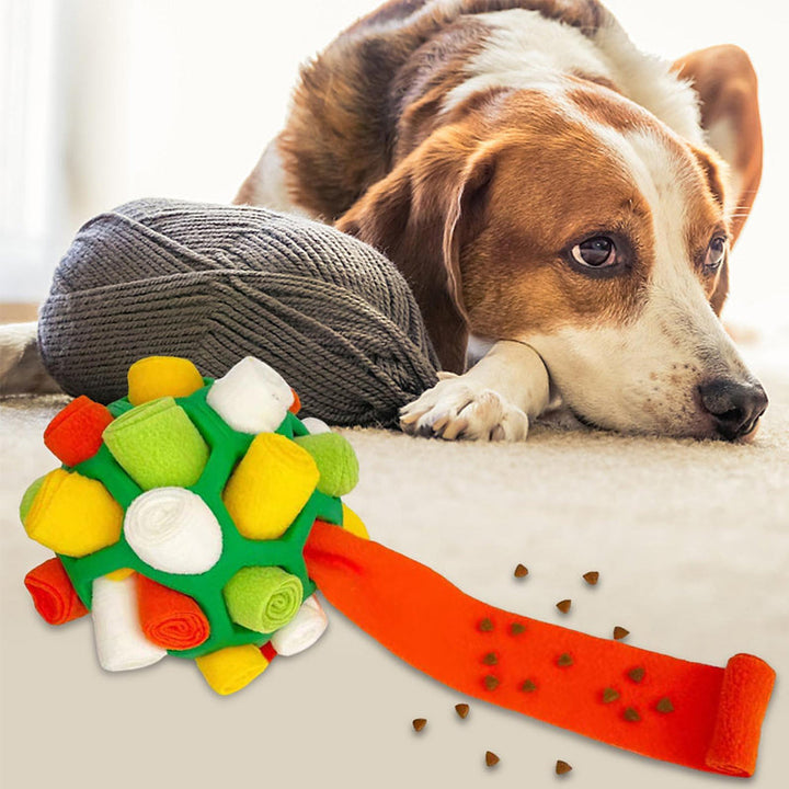 Sniffle ball for pets | Stornfield