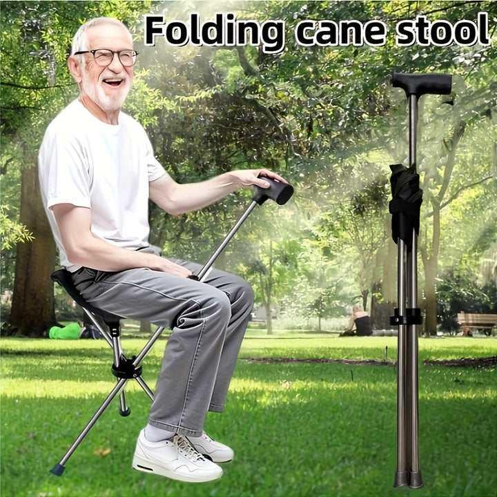2-in-1 Walking Stick with Seat | Stornfield