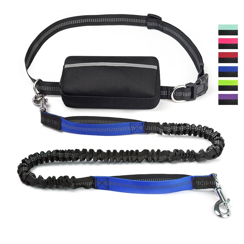 FlowLeash — Experience gentle control and relaxed walks without jerks! | Stornfield