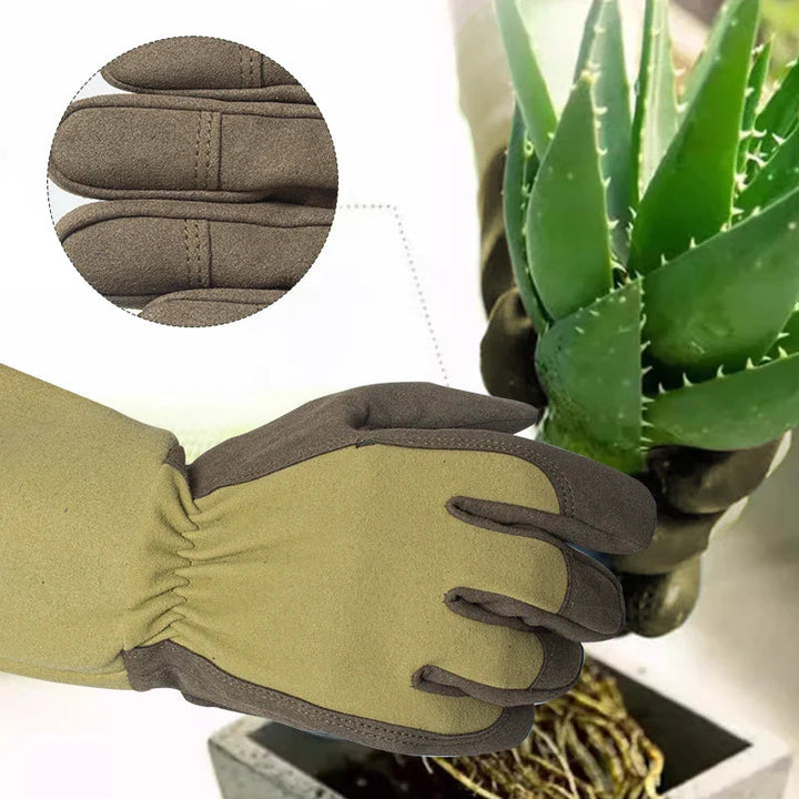 ThornGuard — Protect your hands to love every rose painlessly | Stornfield
