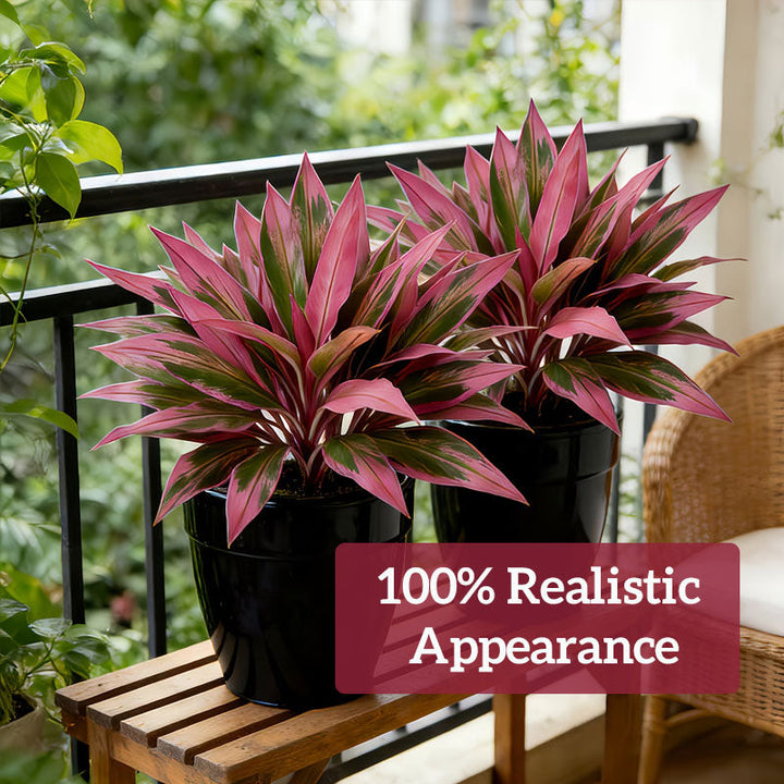 VerdoGlow — Vibrant freshness without effort that will transform your home forever | Stornfield
