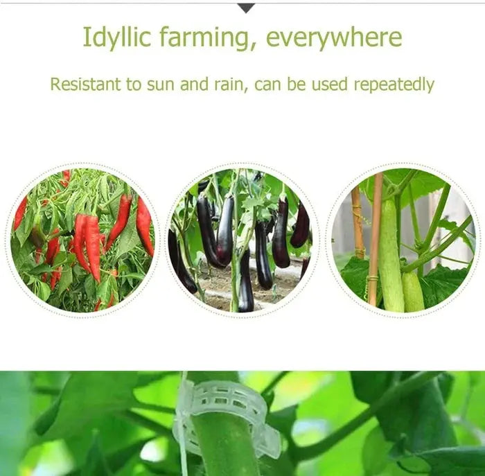 VitaGrip Clips — Strong hold for majestic plants that grow and thrive proudly | Stornfield