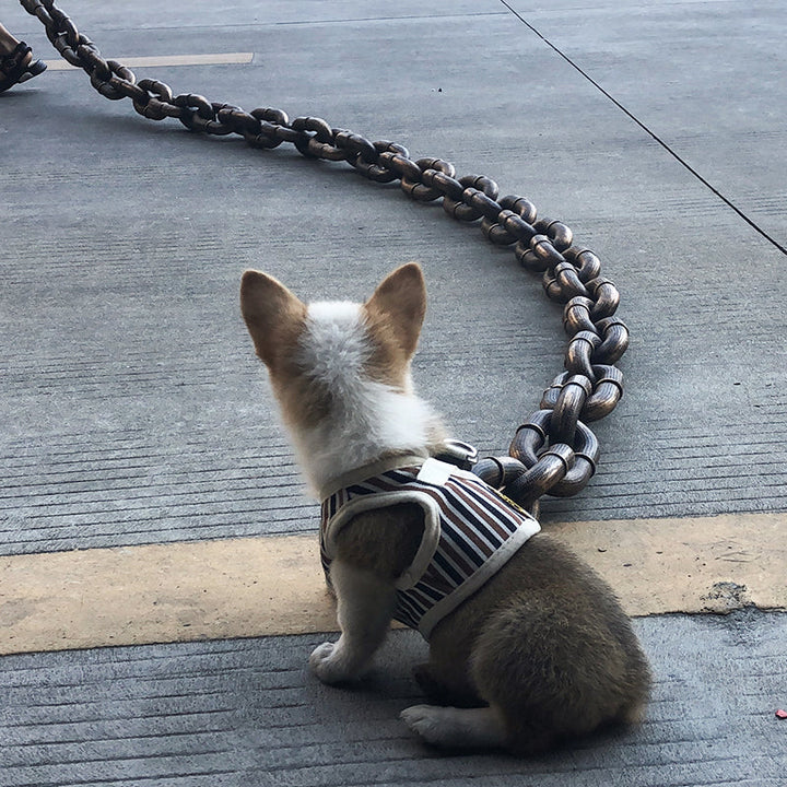 Funny dog leash | Stornfield