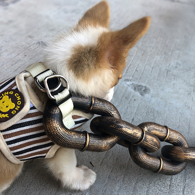 Funny dog leash | Stornfield