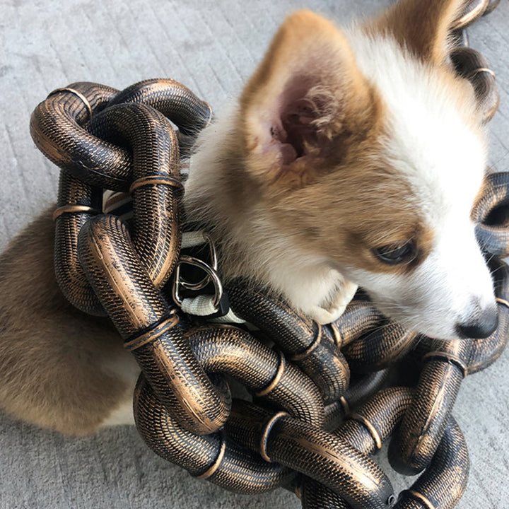 Funny dog leash | Stornfield
