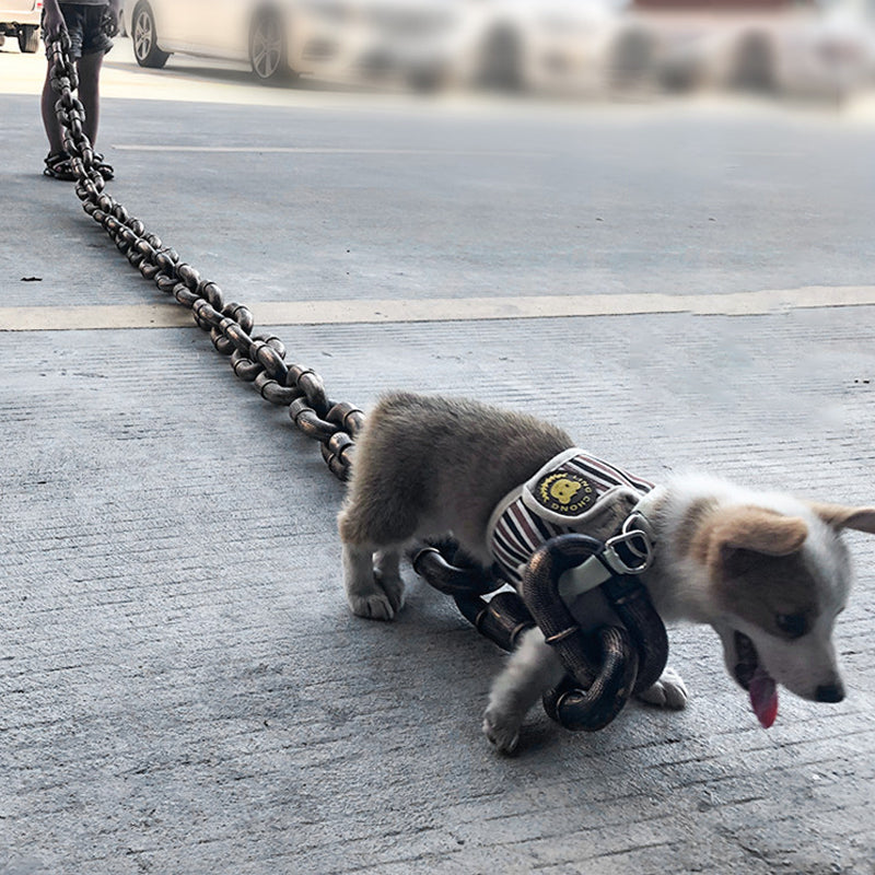 Funny dog leash | Stornfield