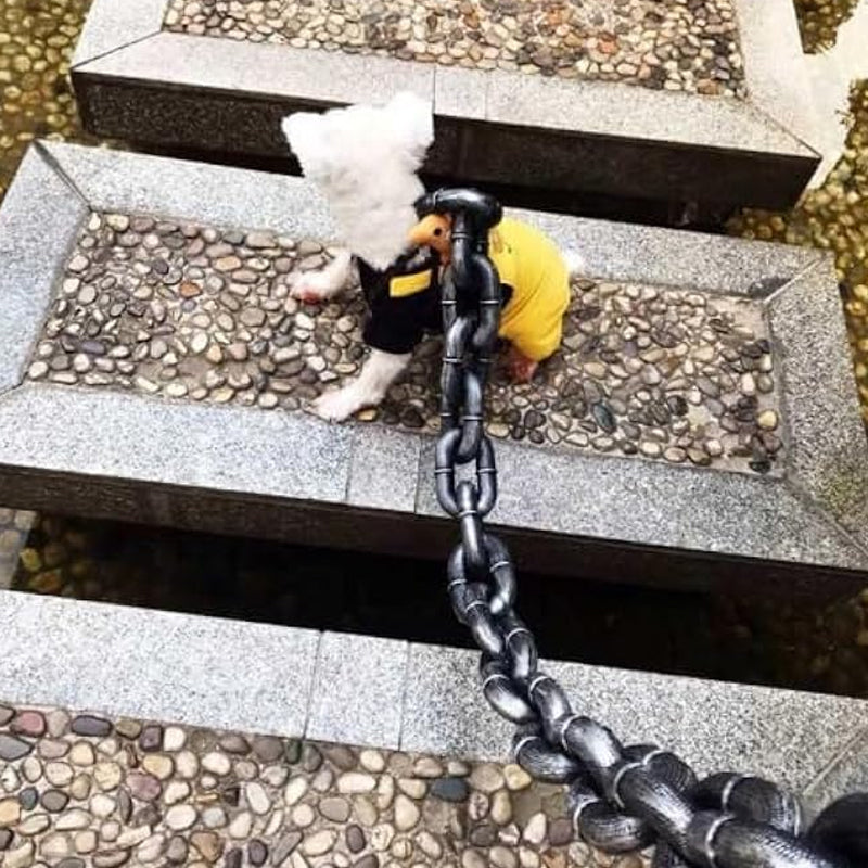 Funny dog leash | Stornfield