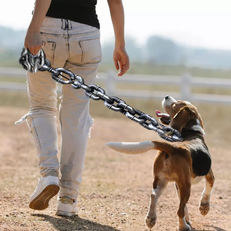 Funny dog leash | Stornfield