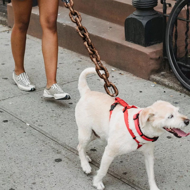 Funny dog leash | Stornfield