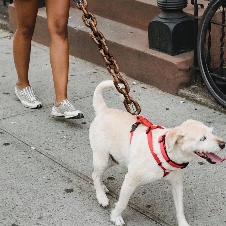 Funny dog leash | Stornfield