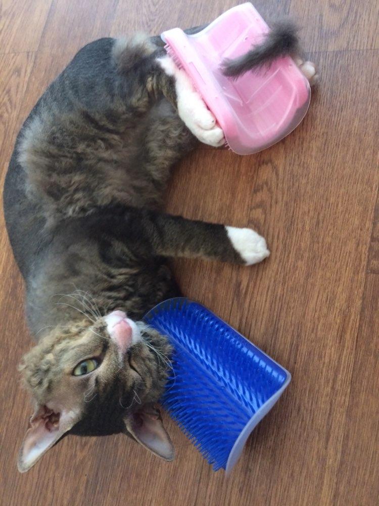 KittyRub - Cat Massage Comb | Stornfield