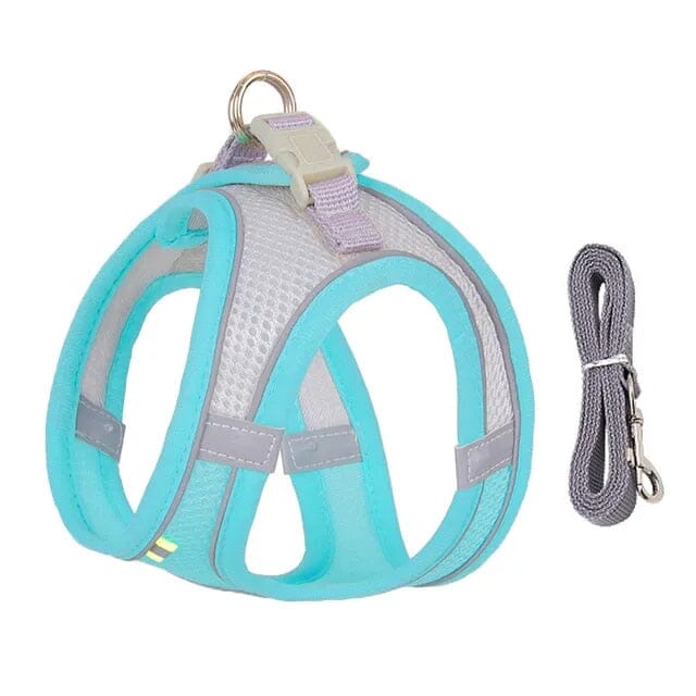 Stornfield Venture Dish & Leash