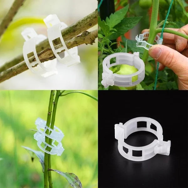 GripKing Clips — Keep your plants strong and discover effortless, healthy growth! | Stornfield