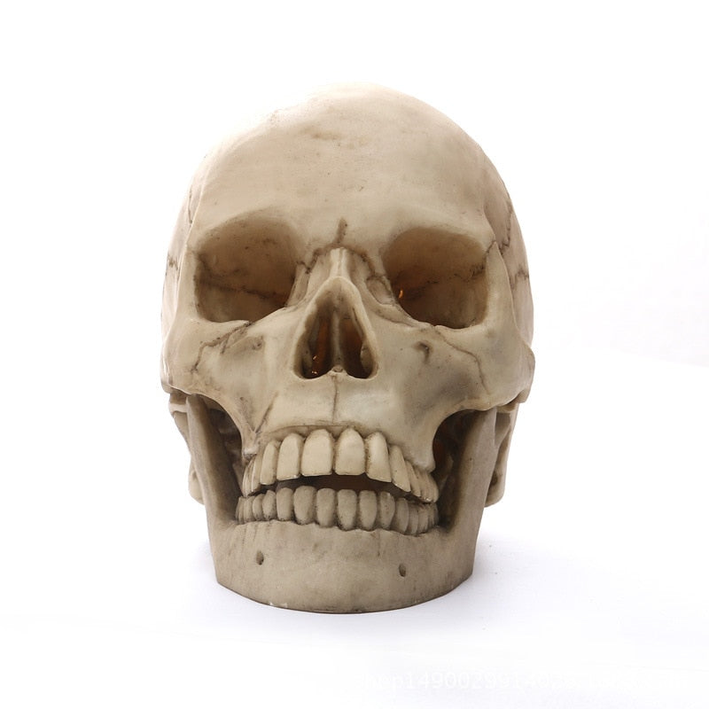 Stornfield | Statue de crâne humain 1:1 pour décoration d'intérieur Figurines en résine Décoration d'Halloween Sculpture Modèle de croquis pour l'enseignement médical Artisanat