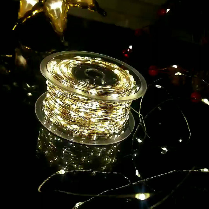 LED string lights with remote control
