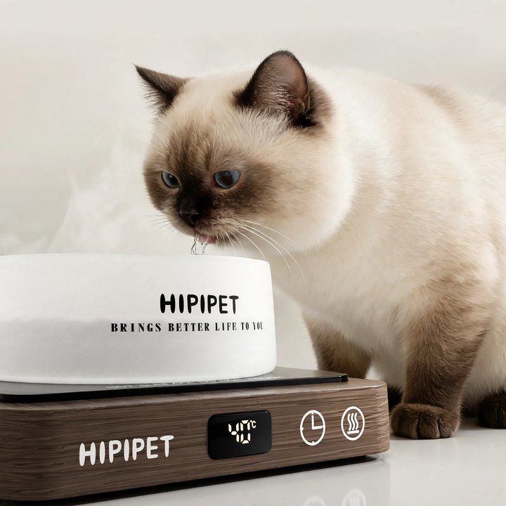 Glass heating bowl with wooden base for pets