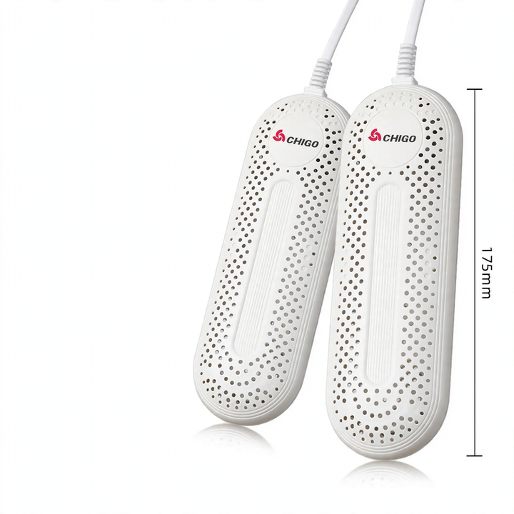 Electric shoe dryer with timer function