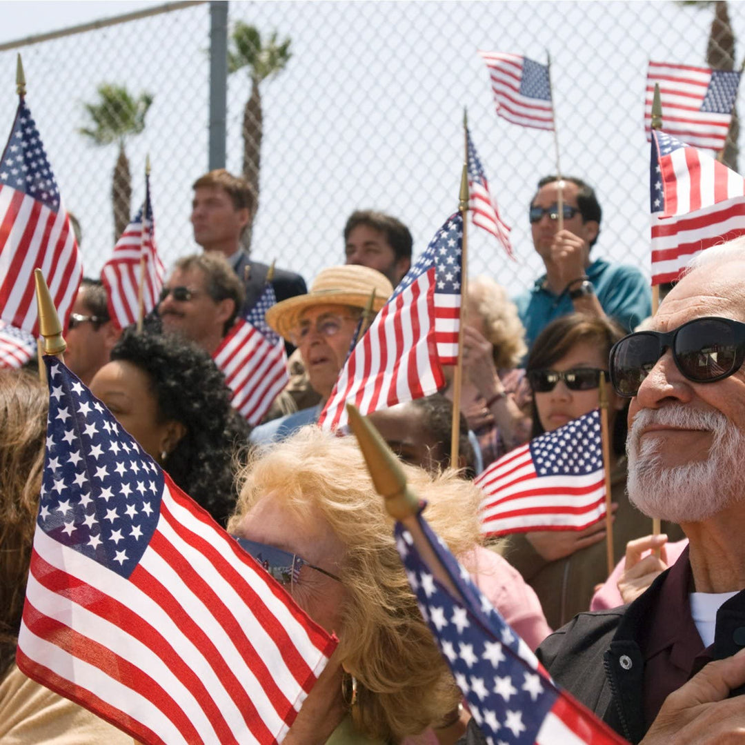 Stornfield | 100-Pack: USA 4x6 in Wood Stick Flag