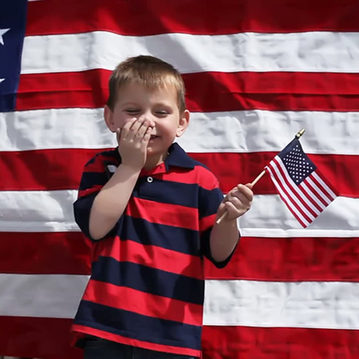 Stornfield | 100-Pack: USA 4x6 in Wood Stick Flag