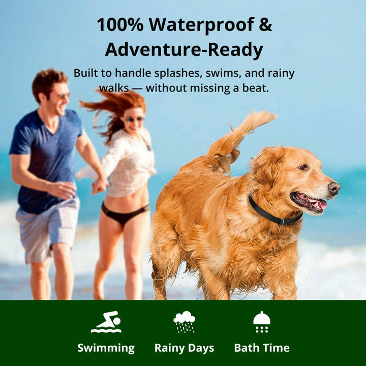 Stornfield | 1000m Waterproof Dog Training Collar | Rechargeable, Remote Control & Adjustable for Small, Medium, and Large Dogs