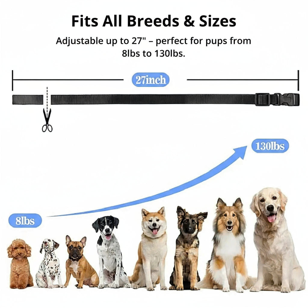 Stornfield | 1000m Waterproof Dog Training Collar | Rechargeable, Remote Control & Adjustable for Small, Medium, and Large Dogs