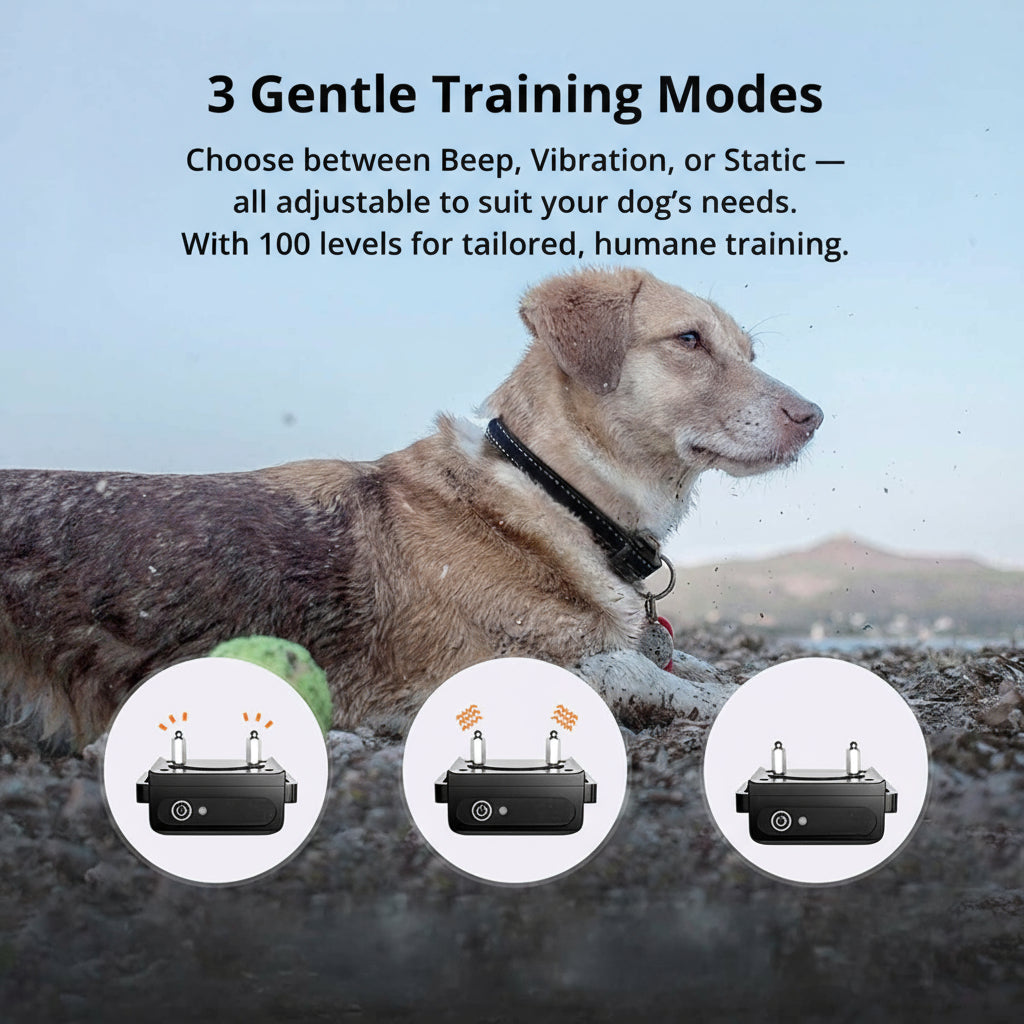 Stornfield | 1000m Waterproof Dog Training Collar | Rechargeable, Remote Control & Adjustable for Small, Medium, and Large Dogs