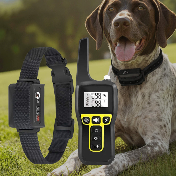 Stornfield | 1000m Waterproof Dog Training Collar | Rechargeable, Remote Control & Adjustable for Small, Medium, and Large Dogs