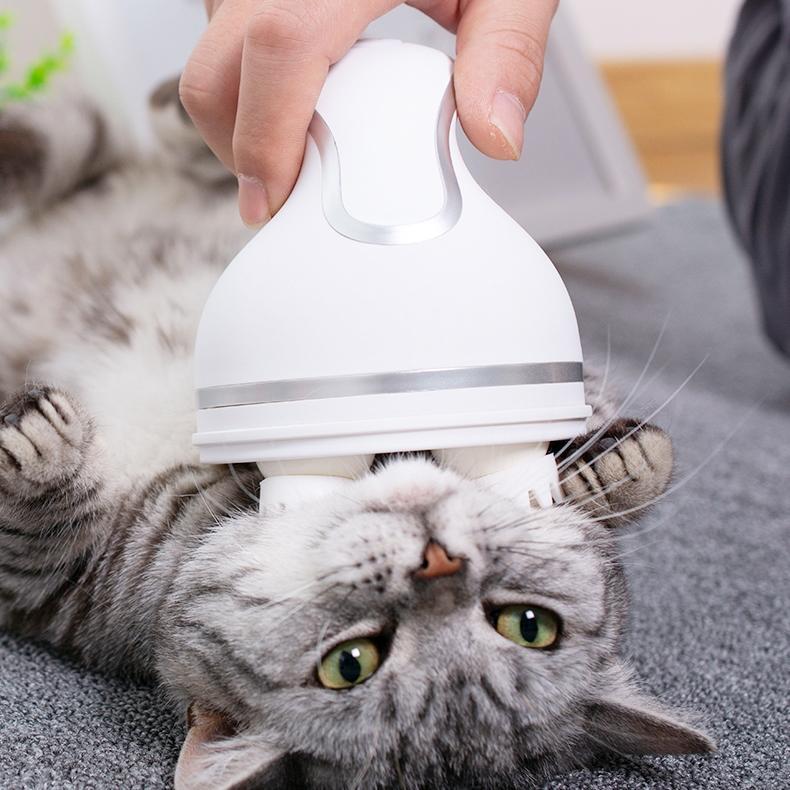 Electric Cat Massager | Stornfield
