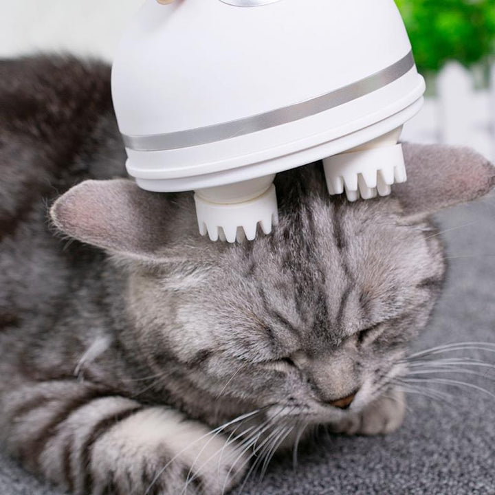 Electric Cat Massager | Stornfield