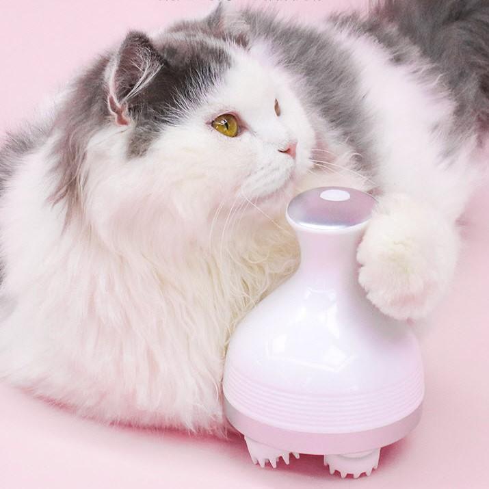 Electric Cat Massager | Stornfield